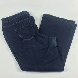 Lane Bryant Flare Jeans